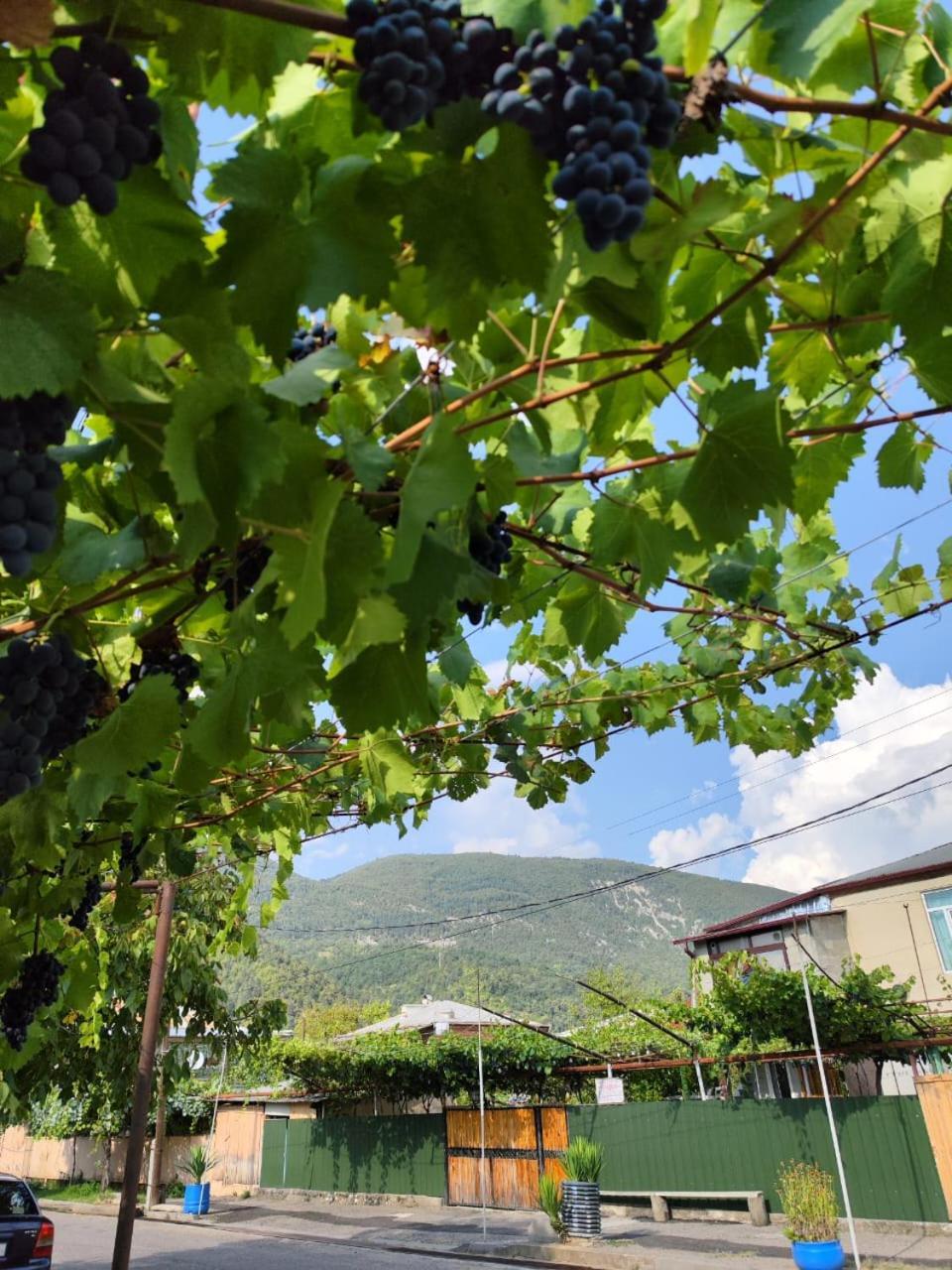 Chveni Ezo Hotel Ambrolauri Buitenkant foto